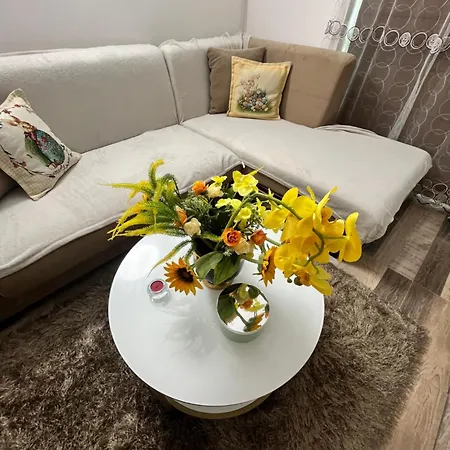 Apartment Апартаменти Анастасия-Бяла Seaside На 100М От Плажа Byala (Varna)