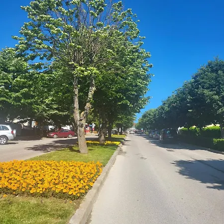 анастасия-бяла Seaside на 100м от плажа Appartamento Byala (Varna)